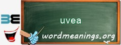 WordMeaning blackboard for uvea